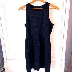 J.Crew Little Black Dress with Velvet Polka Dots
